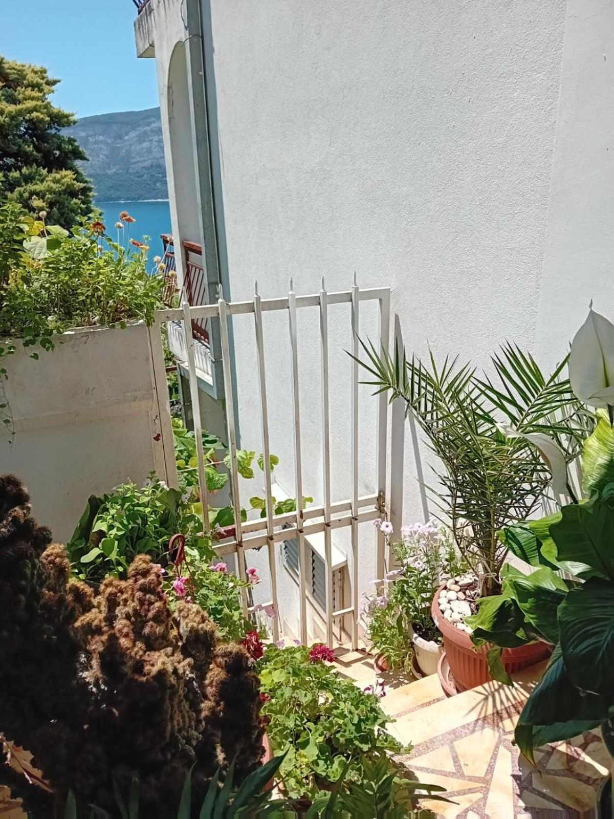 Guest House Cinderella Herceg Novi Exterior foto